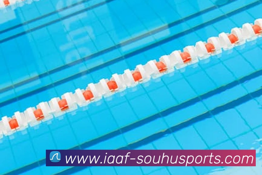 搜狐体育服务体系